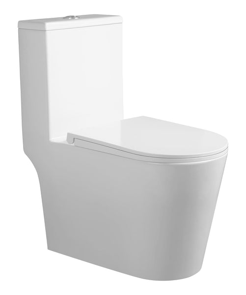 Toilet Bowl 